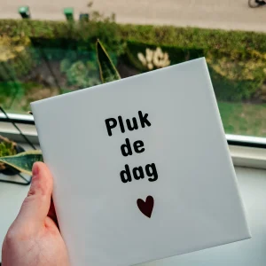 Tegeltje pluk de dag Handgemaakt tegeltje "Pluk de dag"