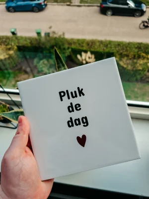 Tegeltje pluk de dag Handgemaakt tegeltje "Pluk de dag"